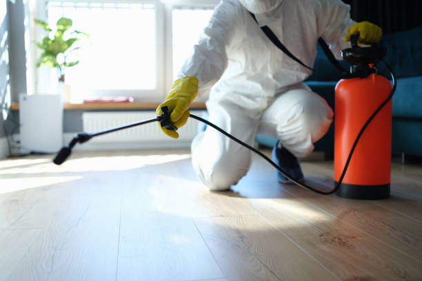 Reliable Odor Removal contractor in Kittery Point, ME by Trauma Clean Pros